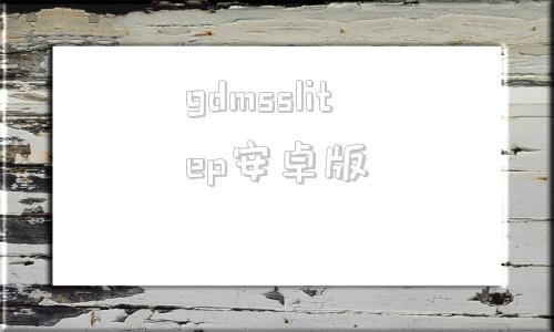 gdmsslitep安卓版lechange摄像头app
