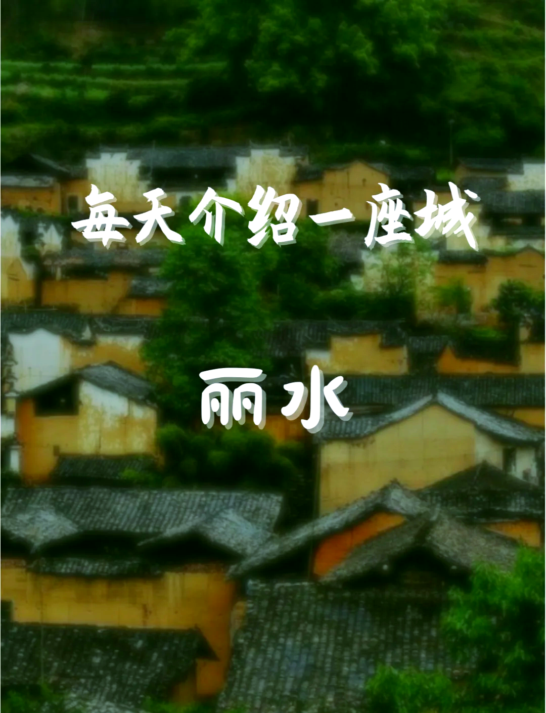 丽水在线手机版丽水信息港官网首页-第2张图片-太平洋在线下载
