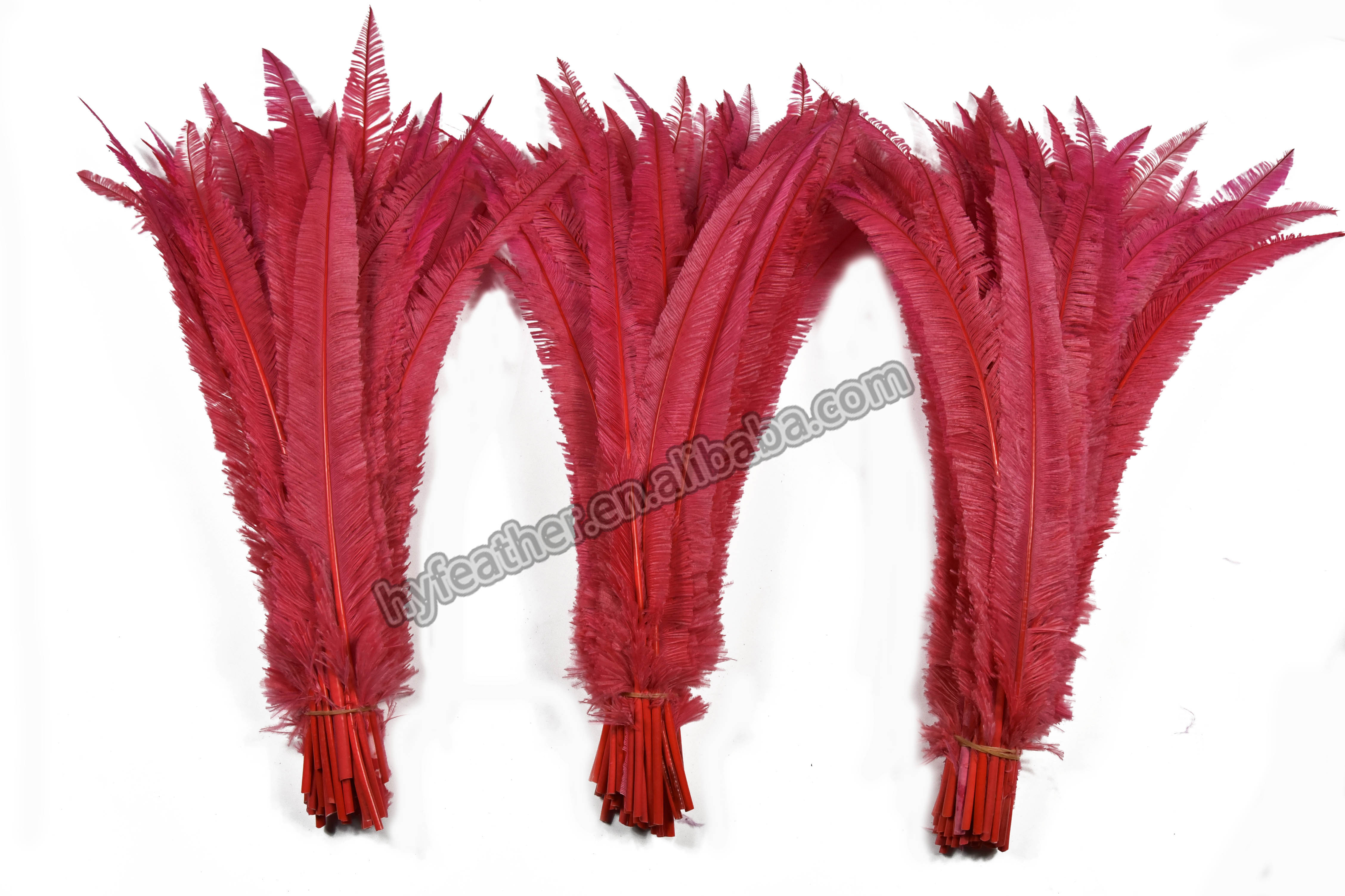 feather客户端feather客户端启动失败