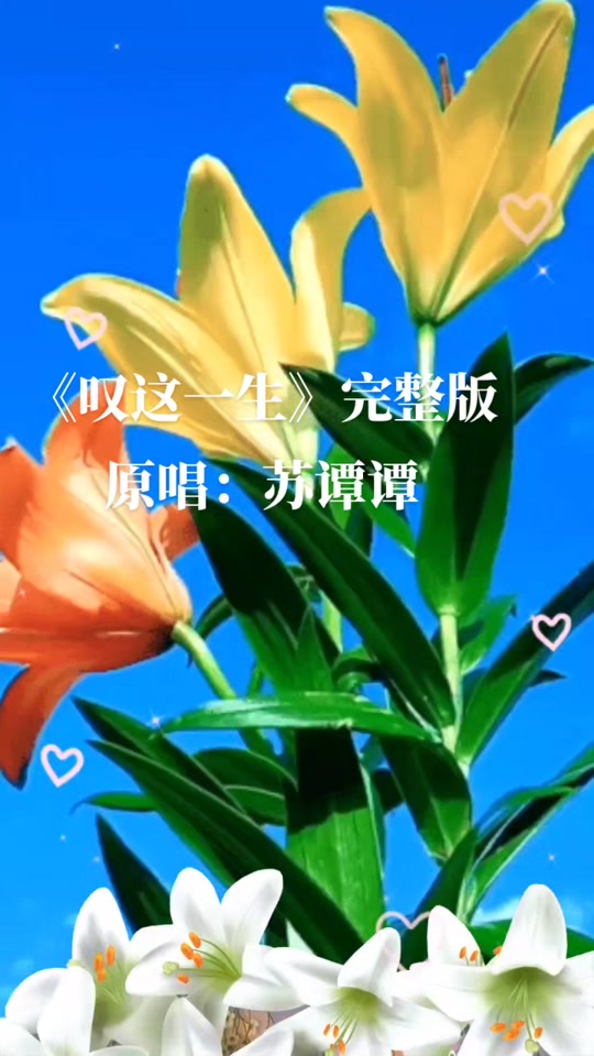 苹果手机原唱版刀郎苹果香歌曲原唱完整版-第2张图片-太平洋在线下载